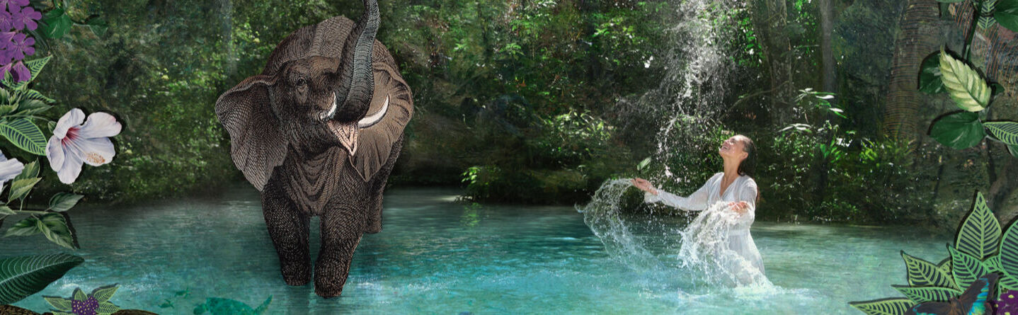 ส่วนบนสุดของเว็บไซต์